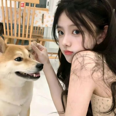 以法之名罪无可赦＆无赦之判